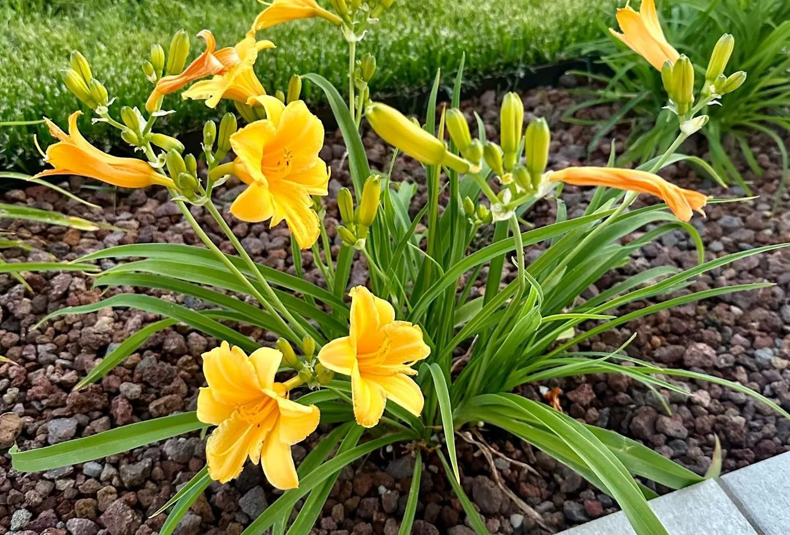 Prázdninový dům Vila La Rosa Del Sile Quarto dʼAltino