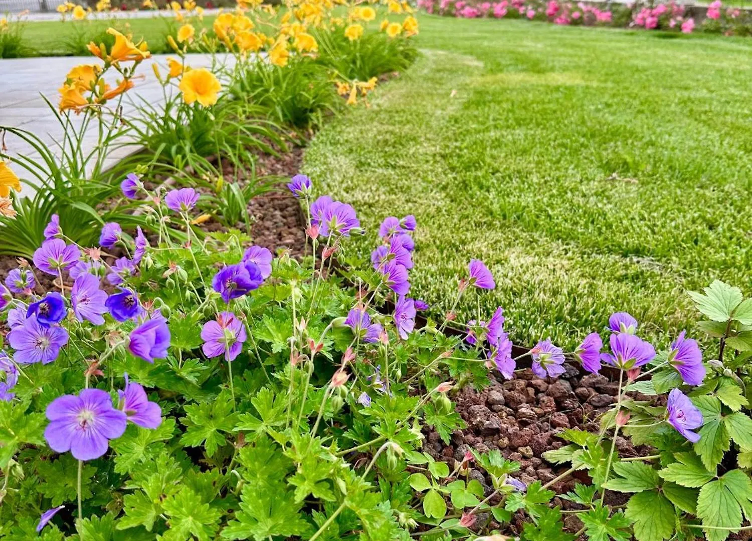 Vila La Rosa Del Sile Quarto dʼAltino Prázdninový dům